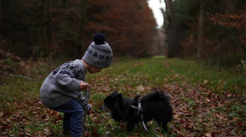 A dog and a child playing in the autumn weather.