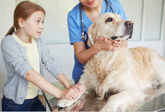 A little girl with her dog at the vet.