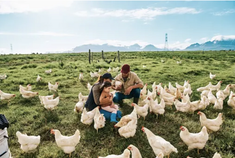 A family on a farm with their chickens.