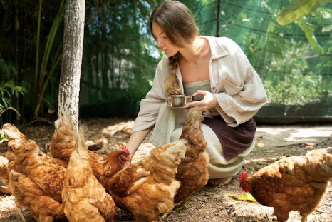 A woman feeding hr chickens.