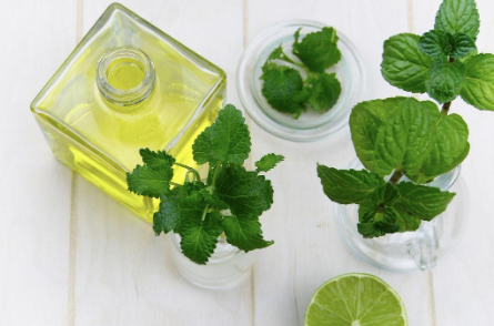 A photo of Peppermint leaves and oil.