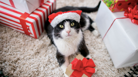 A photo of a cat in the middle of the presents wearing a Santa hat.