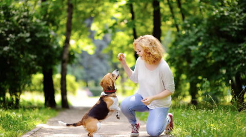 A woman playing with her dog at the park.