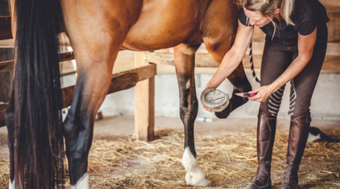 A woman checking her horse's hoof.