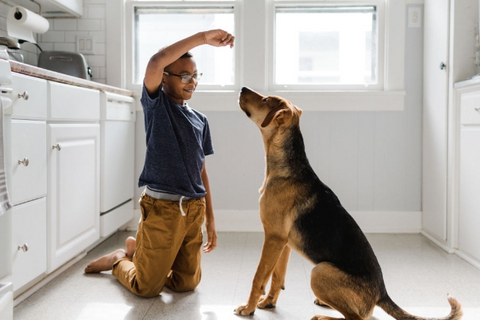 A picture of a teenage boy training his dog with treats.