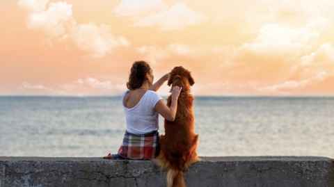 A woman and her dog are sitting watching the sea.