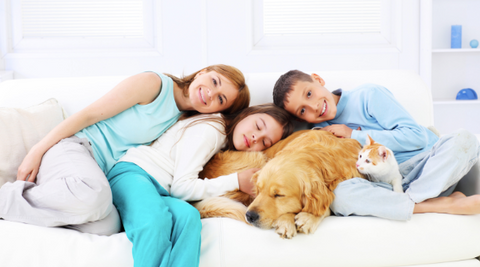 A picture of a mom, two kids, a dog, and one cat on the couch.