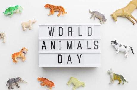Picture with a quote: "World Animals Day"
