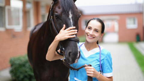 A vet hugging a horse.
