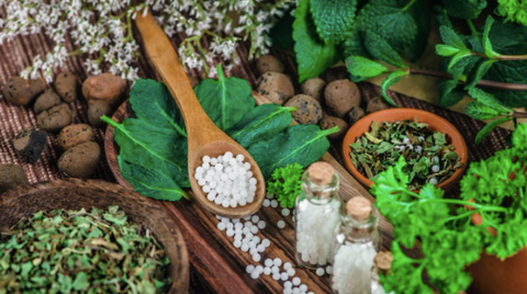 An illustrative picture of homeopathic medicine and herbs. 