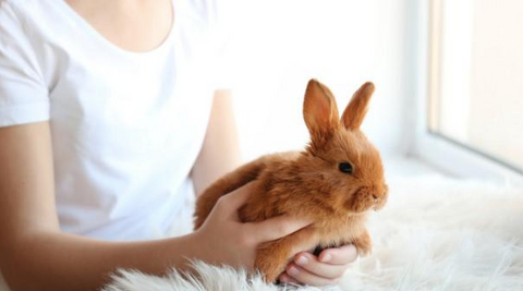 A kid holding his rabbit.