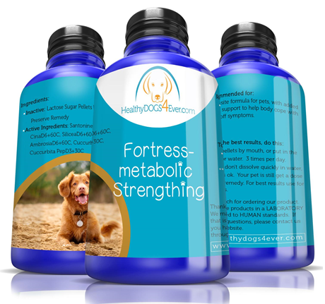 Bottle of homeopathic medicine for dogs for fortress-metabolic strengthing