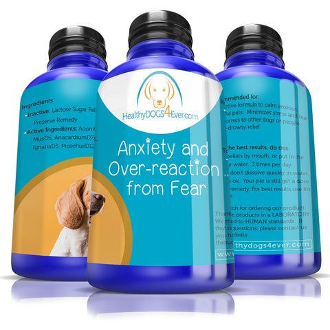 Anxiety and over-reaction from fear Remedy dog bottle