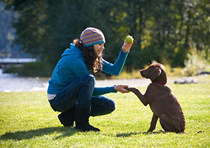 Woman with the ball in her hand and a little puppy