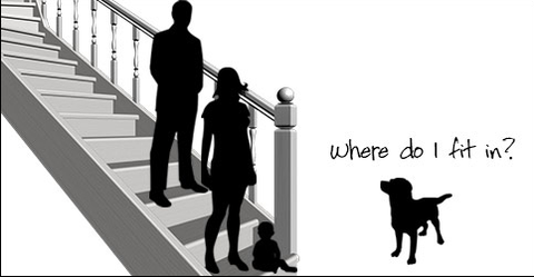 Illustration of a family on a ladder with the dog thinking "where do I fit in?"