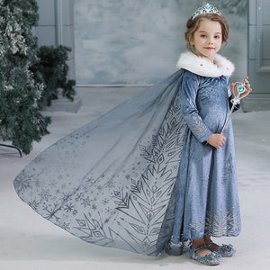 elsa winter dress costume