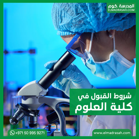 دليلك الشامل لمتطلبات القبول في جامعات الإمارات العربية المتحدة