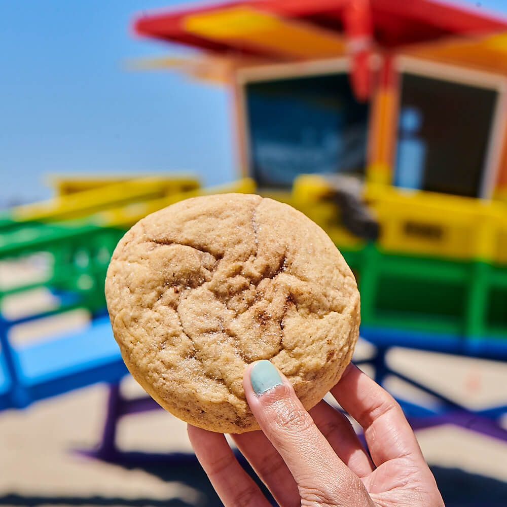 Sugar Cookie on Los Angeles Beach