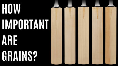 Bat Grain importance