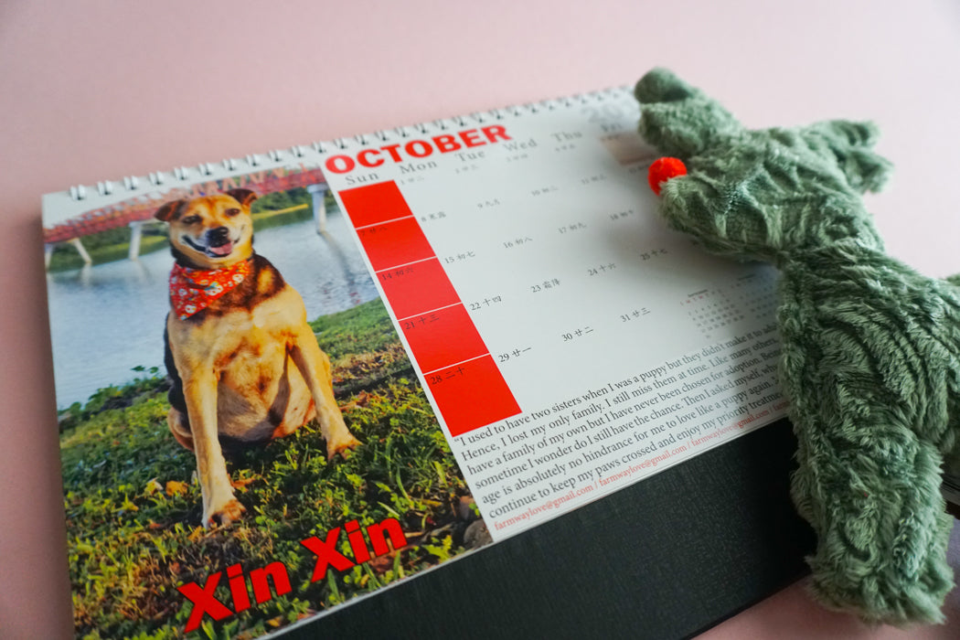 2018 Calendar by Gentle Paw Animal Shelter october