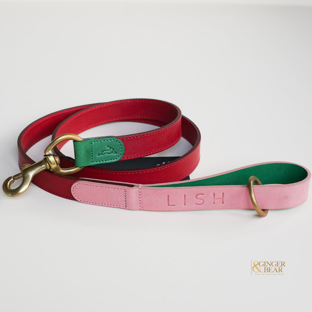 pink leather dog lead