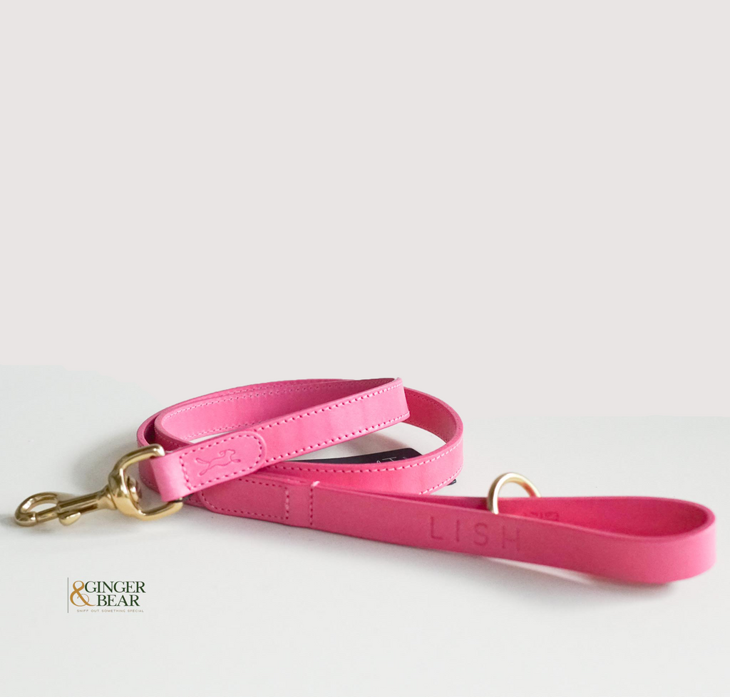 pink leather dog lead