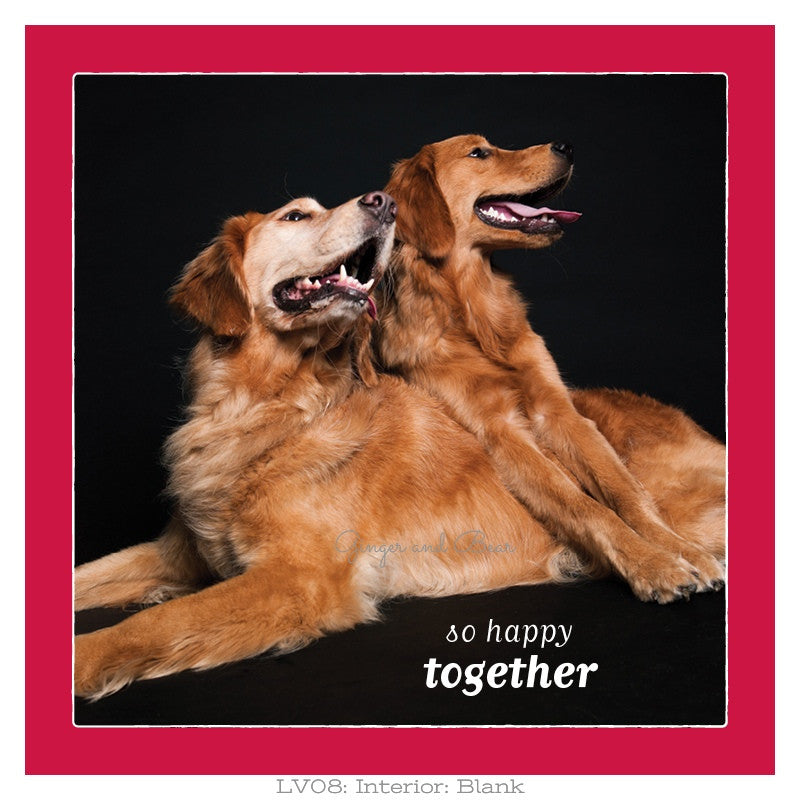 Love So Happy Together Goldens Love Ginger And Bear