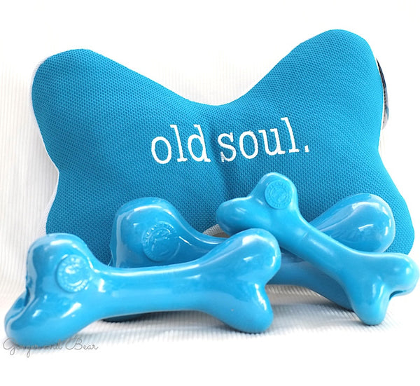 Planet Dog Old Soul Bone Orbee Dog Toys, Teal, Small