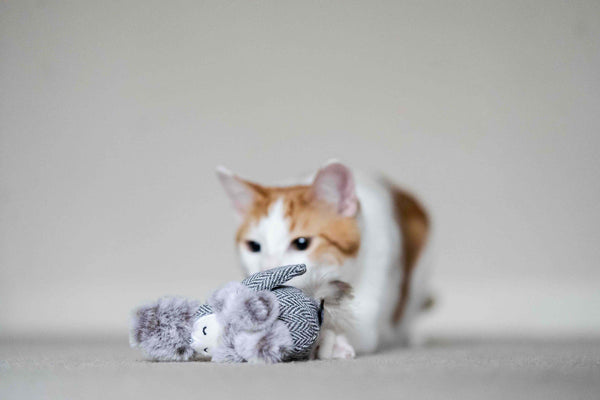 https://cdn.shopify.com/s/files/1/0330/2465/products/P.L.A.Y.FelineFrenzy2020CatToyBlissfulBirdie2small_600x.jpg?v=1636315947