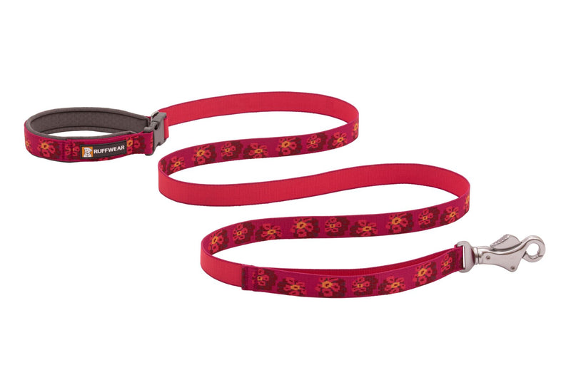 leashes for dogs