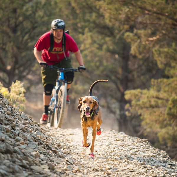 dog grip boots