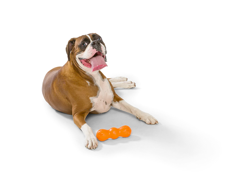 Toss and Fetch Dog toy, Zogoflex Rumpus