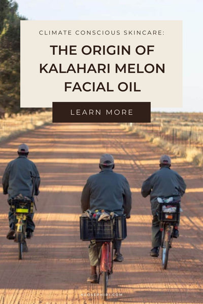 kalahari melon oil origin 