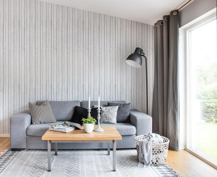 Concrete Grey Wallpaper in living room