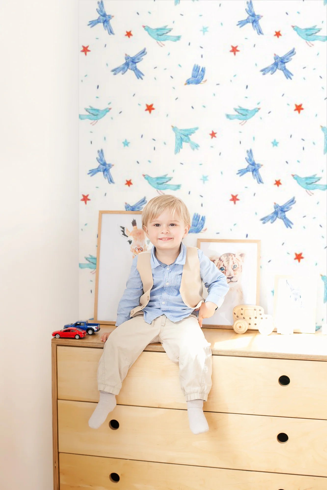 Swallows and Stars, Pattern Wallpaper in boy's room