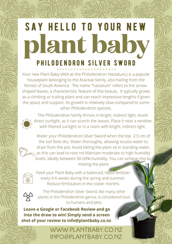 Silversword indoor plant care card