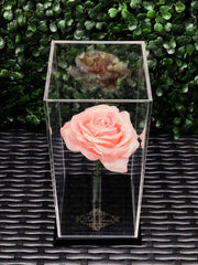 Belle Fleuriste - Blue Glitter Roses Black Box 5 Roses – BelleFleuristeUK