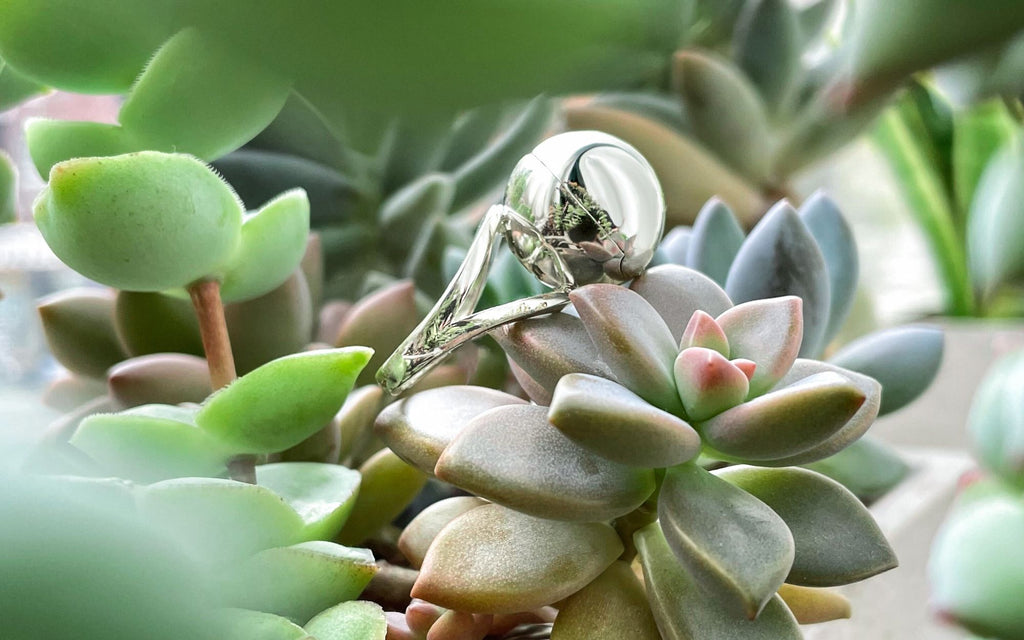 Silver secret sphere ring amongst succulents.