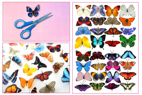 craft butterflies