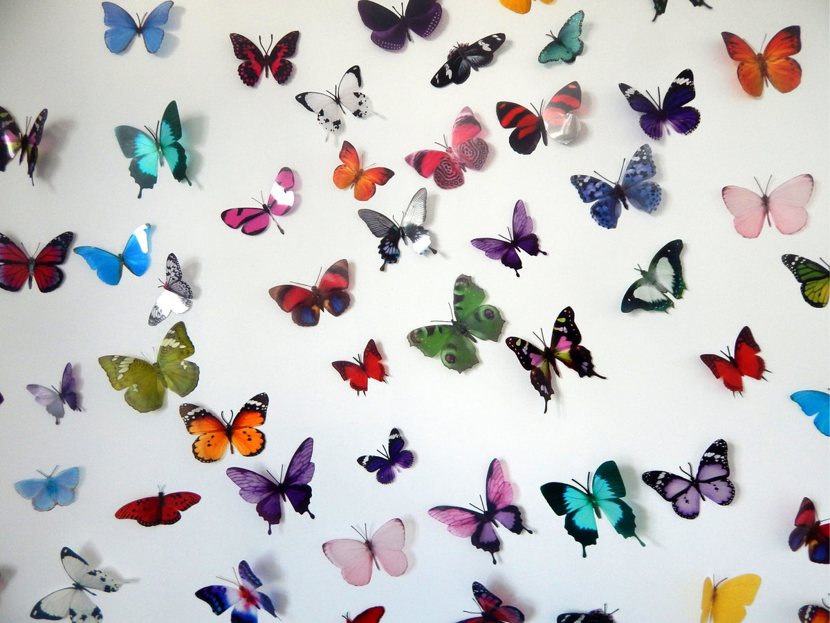Similar to Escape to the Chateau butterfly wall stickers. Set of 50. B ...