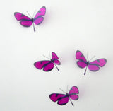 3d butterfly stickers, Fuchsia Pink Long Tail natural butterfly, conservatoryr
