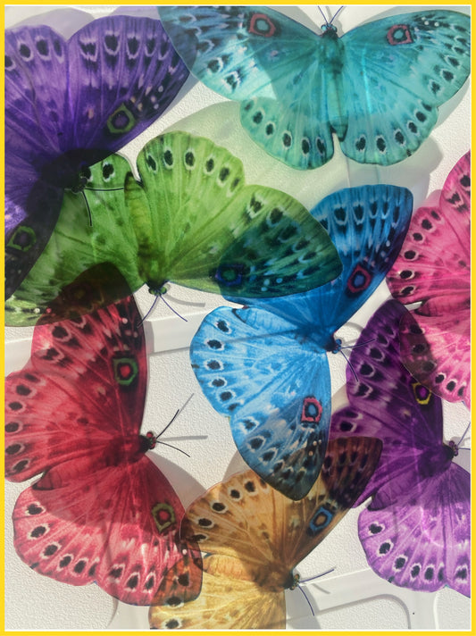 3d Butterflies the Rainbow,multi-coloured Collection, Butterfly Decor for  the Wall,conservatory, Home,bedroom, Lounge,window Decorations 