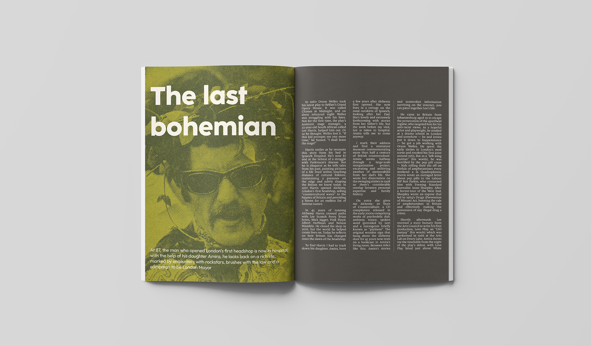 The Last Bohemian — Leafie Magazine