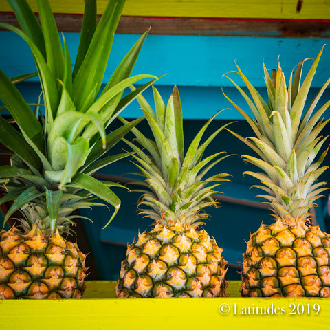 Three vibrant pineapples in Kauai Hawaii fruit stand