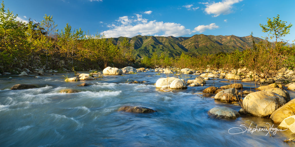 Ojai River Preserve Fine Art Photograph