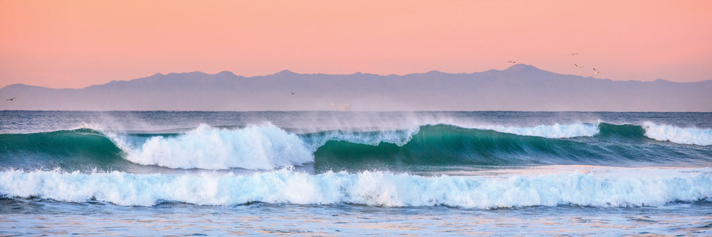 Ocean art sunrise photograph of a pink sky above turquoise blue waves with birds flying overhead.