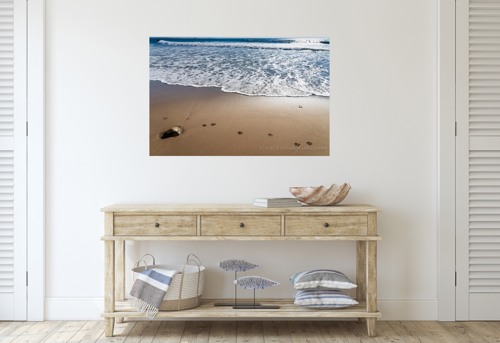 How to turn your home into a Beach House – Latitudes Gallery