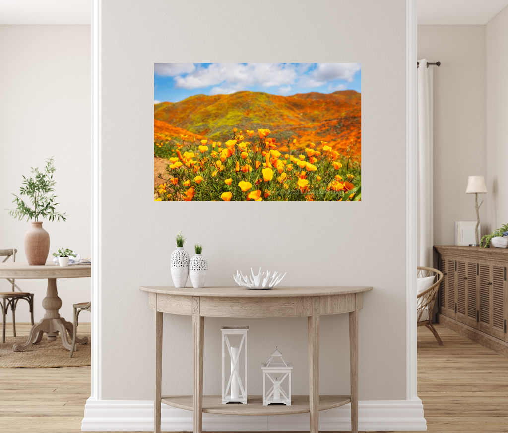 Poppy Fine Art Photograph for the wall in your home