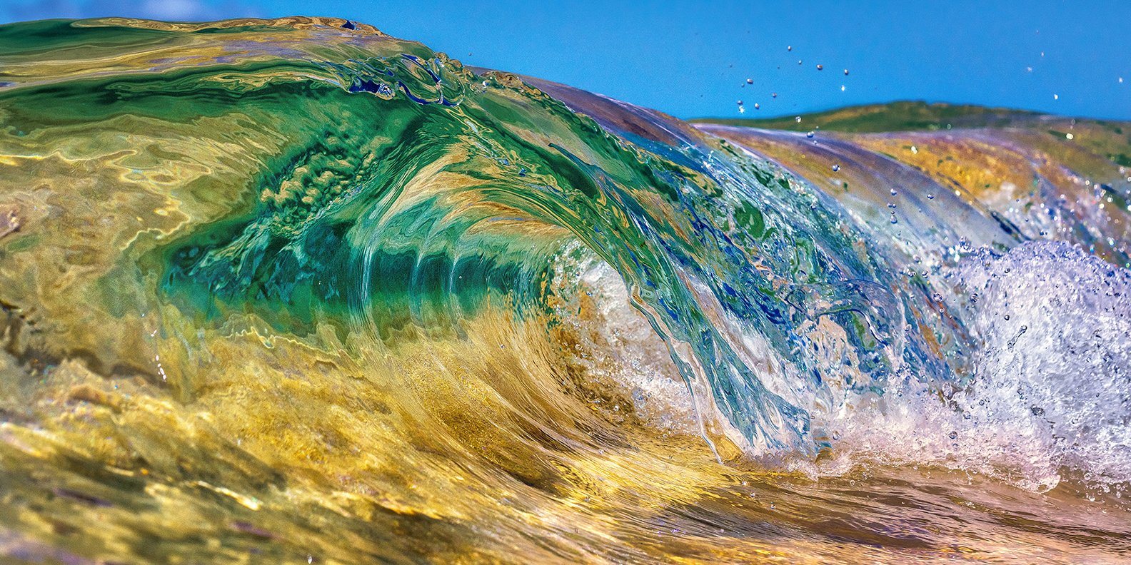 Photographic wall art of a glassy see-through wave with stunning views of the sand, land, and sky.