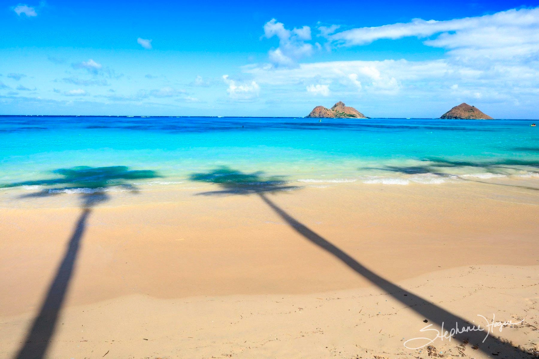 Shadows of two palm trees on a calm, golden beach before a blue-green ocean and fluffy white clouds.